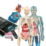 Cuerpo Humano Con Ar - Clementoni