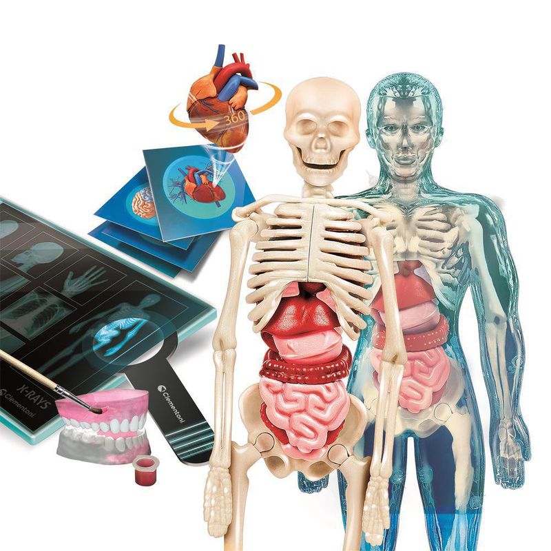 Cuerpo Humano Con Ar - Clementoni