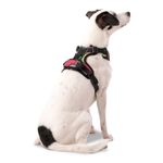 Arnés De Caminata Pechera Heikul Fluffys Rojo M - Totto