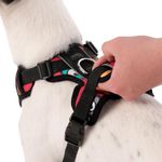 Arnés De Caminata Pechera Heikul Fluffys Rojo M - Totto
