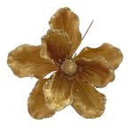 Pick Magnolia Dorada