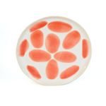 Plato Ensalada Lollipop Naranja Y Blanco 9 Plg - Niu Haus