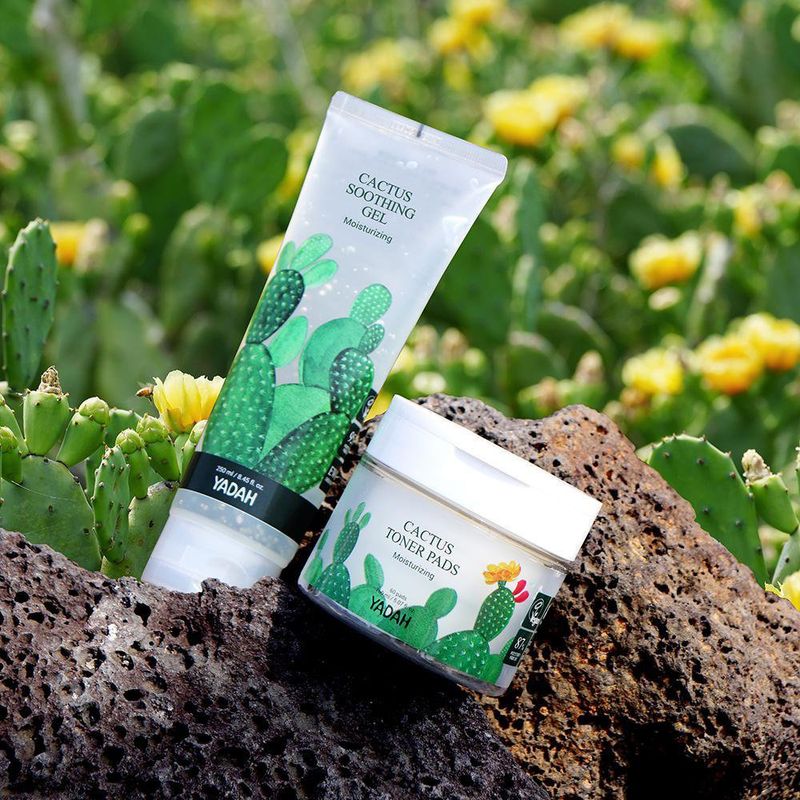 Gel Hidratante Y Calmante Con Extracto De Cactus 250 Ml - Yadah