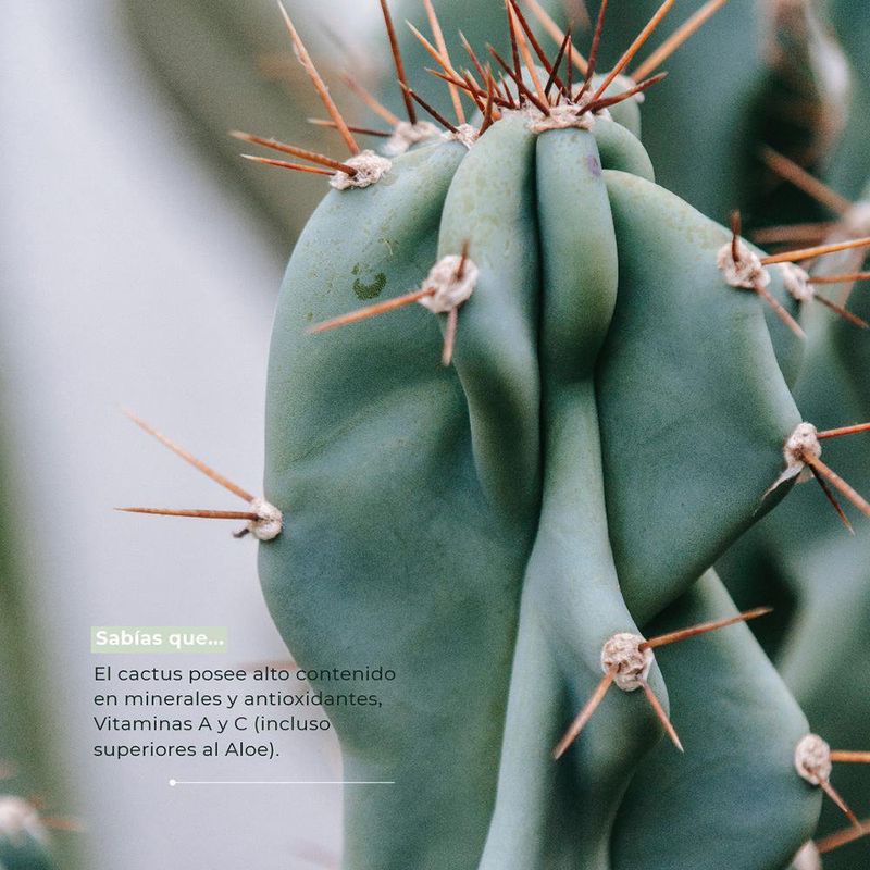 Gel Hidratante Y Calmante Con Extracto De Cactus 250 Ml - Yadah