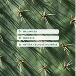 Gel Hidratante Y Calmante Con Extracto De Cactus 250 Ml - Yadah