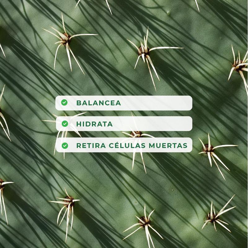 Gel Hidratante Y Calmante Con Extracto De Cactus 250 Ml - Yadah