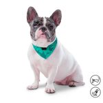 Pañuelo Menta Doble Faz 2.0 S - Totto