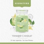 Vela En Frasco Grande Vanilla Lime 567 G - Yankee Candle