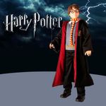 Harry Potter 45 Cm - Warner Brothers
