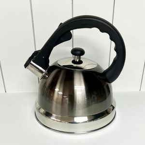 Tetera de Acero Inoxidable Plateado Oscuro