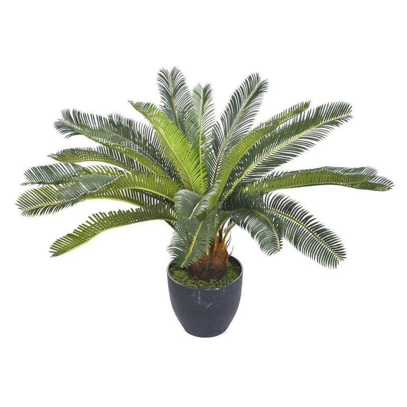 Planta Decorativa con Maceta 60 cm