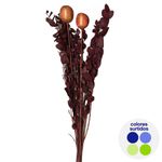 Ramo Decorativo de Eucalipto con Frutos