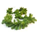 Guirnalda de Pino Canadiense 2.7 M