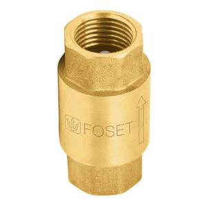 Valvula De Check Vertical 2''