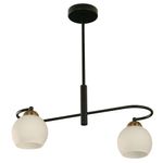 Lámpara Colgante Agatele Negra De 2 Luces 40 W - Zlumini