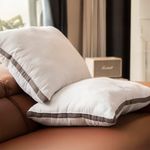 Set de 2 Almohadas Hipoalergénica