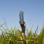 Botella Suga Pebble 590 Ml - Hip