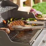 Pinzas de Precisión para Parrilla