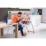 Trona Polly 2 Start Fancy Chicken - Chicco