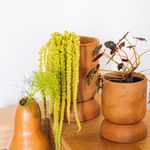 Maceta Crecer Ovalada De Barro 30 Cm - Kikotem