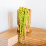 Maceta Crecer Ovalada De Barro 30 Cm - Kikotem