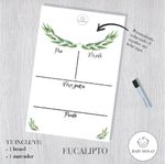 Board de Información Eucalipto Diseños Surtidos - Baby Monat