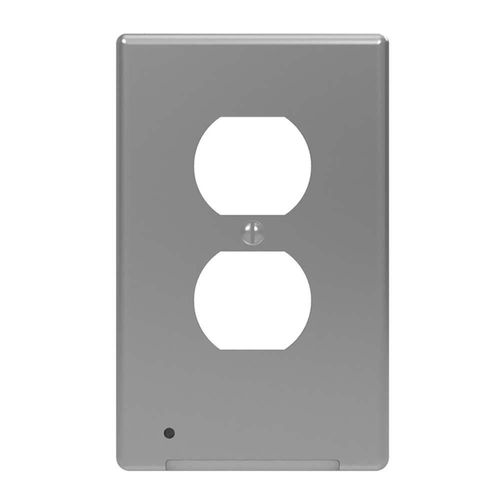 Placa Dos Modulos Color Niquel - Ace