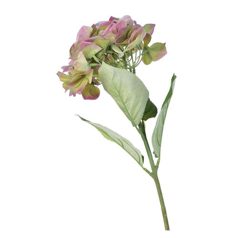 Hortencia Verde - Concepts