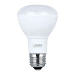Reflector Para Interior Dimmeable De 45 W - Feit Electric