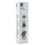 Recipiente De Pared Floralink Blanco - Umbra
