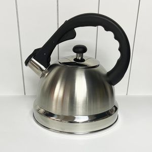 Tetera de Acero Inoxidable Plateada