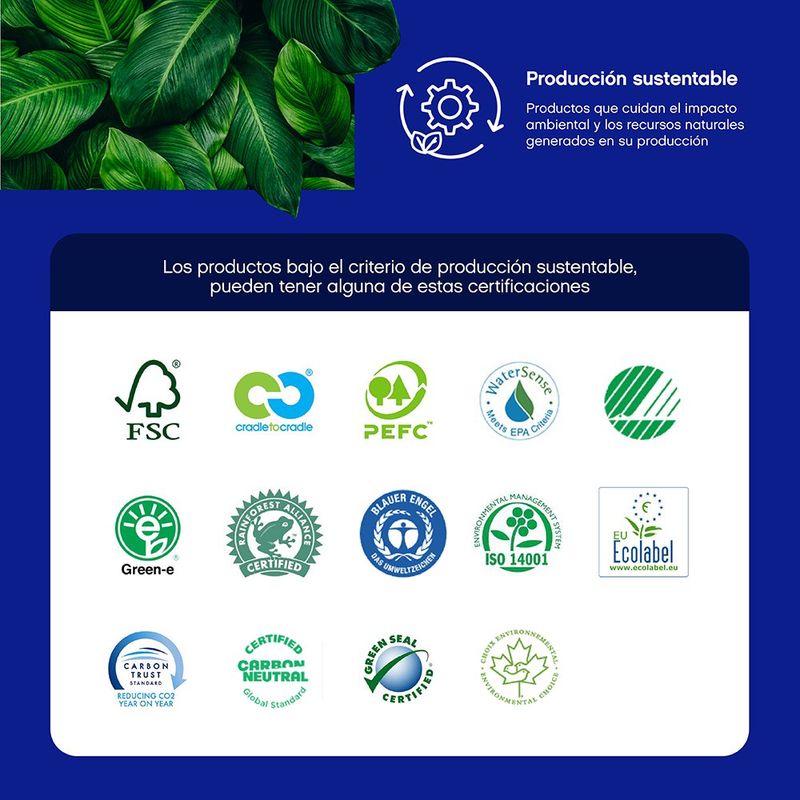 Verde Musgo