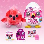 Huevos Chirpy Birds Diseños Surtidos - Zuru