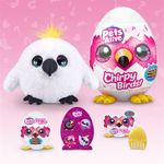Huevos Chirpy Birds Diseños Surtidos - Zuru