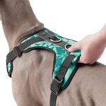 Arnés De Caminata Pechera Heikul Flores Turquesa XL - Totto