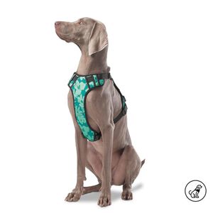 Arnés De Caminata Pechera Heikul Flores Turquesa XL - Totto