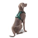 Arnés De Caminata Pechera Heikul Flores Turquesa XL - Totto