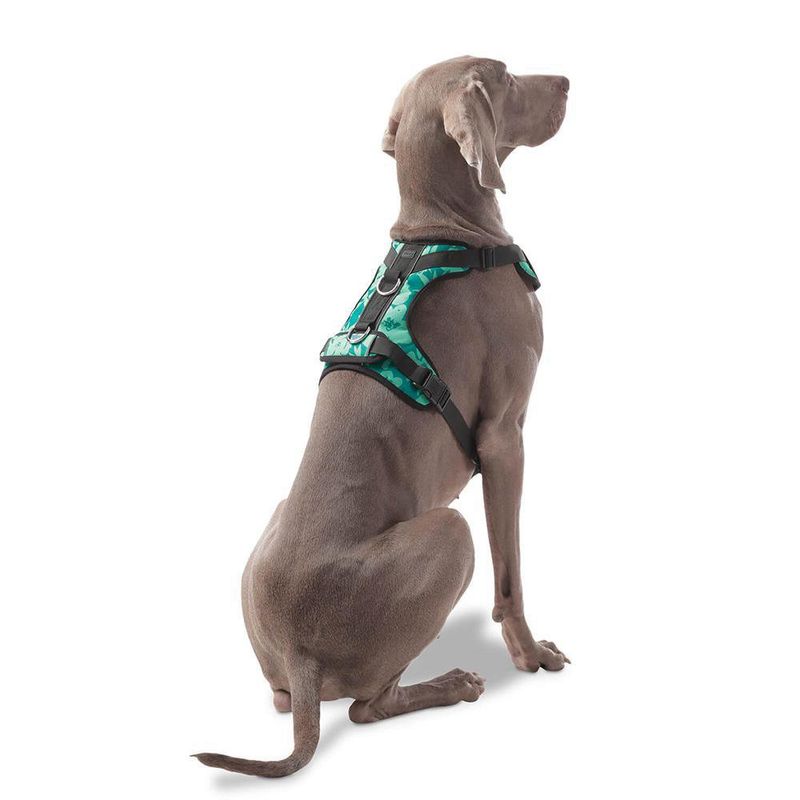 Arnés De Caminata Pechera Heikul Flores Turquesa XL - Totto