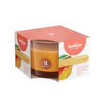 Vela En Frasco De Vidrio Naranja De Mango - Bolsius