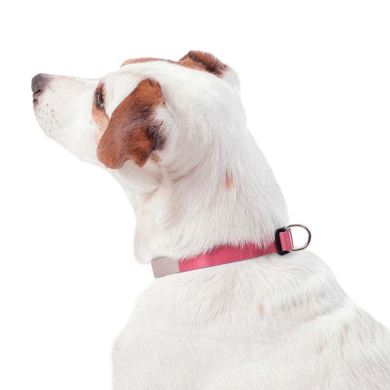 Collar Ajustable Mylu M - Totto