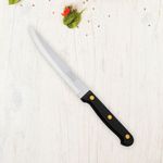 Cuchillo Liso Mango Plástico 5 Plg - Pretul