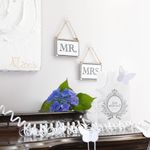 Gancho Decorativo Transparente 5 Piezas - Tesa