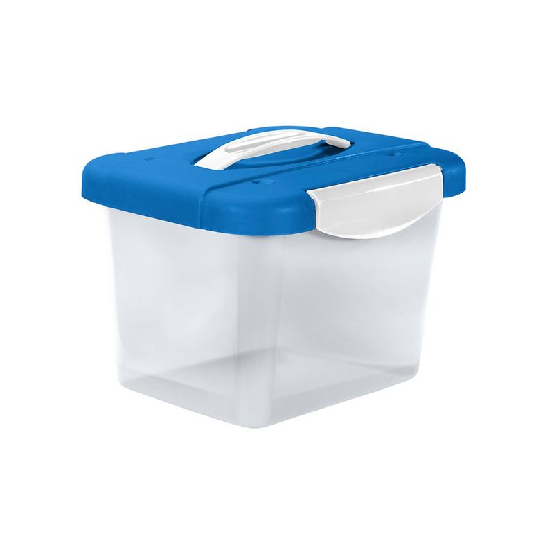 Caja con Tapa y Agarrador 4 Lt