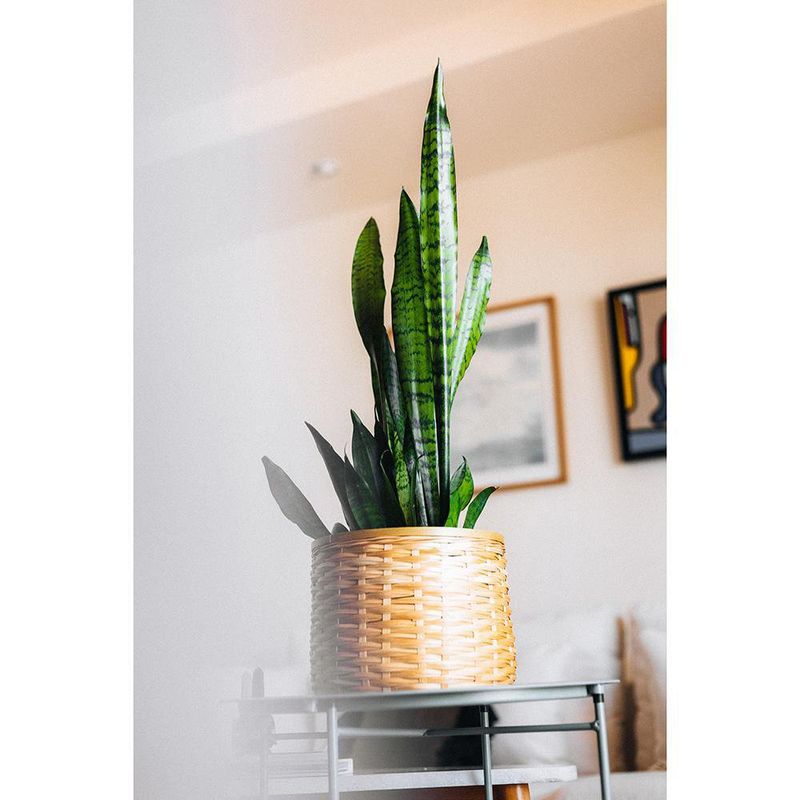 Cesto De Bambú 27X25 Cm - Kikotem