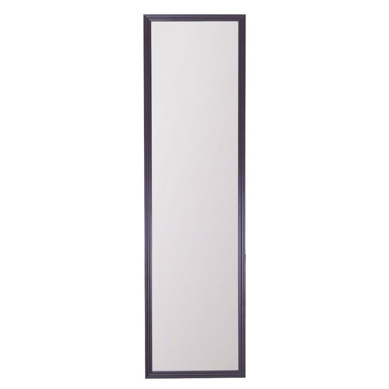 Espejo Para Puerta 12 X 48 Plg - Viva