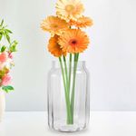 Florero de Vidrio 22 Cm - Viva