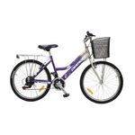 Bicicleta MTB 24 Para Dama De 21 Velocidades - Diamond
