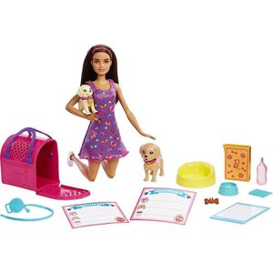 Set De Juego Muñeca Pup Adoption - Barbie