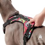 Arnés De Caminata Pechera Heikul Fluffys Rojo XL - Totto