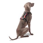 Arnés De Caminata Pechera Heikul Fluffys Rojo XL - Totto